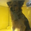 봉 동물병원 이미지