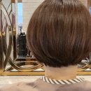컷트에더하다