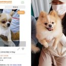 개st하우스 이미지