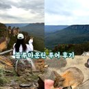 블루마운틴 | 시드니 블루마운틴 투어 후기｜세자매봉부터 엔트워스 폭포 트레킹까지