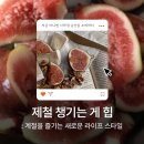제철코어 그게 뭔데? 요즘 MZ세대가 계절을 '힙'하게 즐기는 법