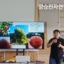 뚝심농장2 이미지