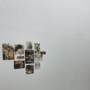 안양 인터비즈 | 안양 속눈썹펌 추천｜모우에서 영양 듬뿍 프리미엄 C컬 펌 받고 눈이 2배 커진 후기