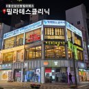 울산 삼산동 필라테스 강추 필라테스 클리닉 6개월 수강후기