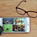 인천안경 이미지