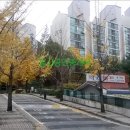중산정형외과의원 네이버블로그