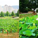 정감농장 이미지