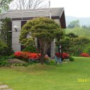 정원이 아름다운 집 이미지