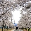 하동역 | 하동 벚꽃 여행 1박2일 코스 추천 (엄마와 떠난 구례 봄여행 후기)