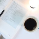 비전에너지㈜코리아 | 세노비스 멀티 이뮨 에너지 샷 트리플 부스터 후기