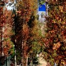 에스제이팜 이미지