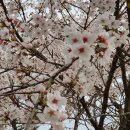 양지리 농장 이미지