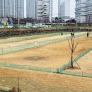 정촌 죽봉 파크골프장 이미지