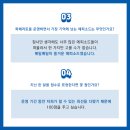 파체리토 이미지