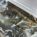 속초관광수산시장(구 속초중앙전통시장) 이미지