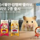 햄찌네 파이낸셜뉴스