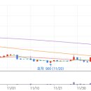 와이랜드 이미지