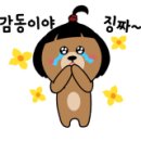 PAMA 이미지