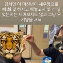 네네치킨개신점 | 2-2