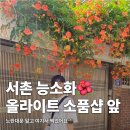 서촌 능소화 명소 올라이트 소품샵 앞 포토스팟 후기