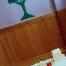 봄날의 댕댕이 | 우리 댕댕이와 함께한 전주에서의 잊지 못할 봄날 이야기