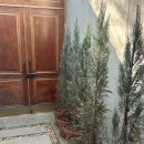 하유일기 이미지