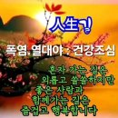 공주-51 이미지