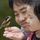 자연과사람 이미지