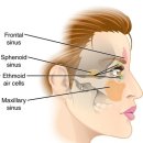 오션스타 이미지