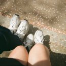 리틀베어 이미지