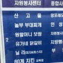 별양상가1로 | 과천 파스타 맛집 “닐리파스타앤피자 별양점” 단골 후기