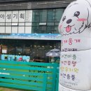 포근하개 | 검단 애견카페 마전동 포근하개 다녀왔어용