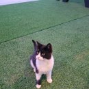 힐링펜션 | 안면해수욕장 바로 앞, 힐링한 태안블루 펜션 후기