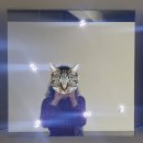 엠티브이20로 12~엠티브이22로 116 주변 | 갤러리 바톤 : TATSUO MIYAJIMA 미야지마 타츠오 개인전 &lt;Folding Cosmos&gt;미야지마 타츠오의 신작 공개