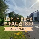 선흘1212