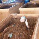 효소테라피 이미지