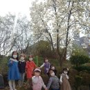 올리브유치원 이미지