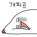 깡패족발 네이버블로그