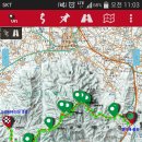 남근농장 이미지