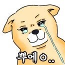 셀립여의 이미지