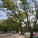 용추솔밭관광농원 이미지