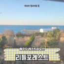 별이야기민박 | 제주도 게스트하우스 '리틀포레스트' 포틀럭파티 참가 안 한 후기 숙박시설 평가