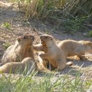 (합)중부환경 이미지