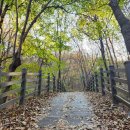 오미약수터 이미지