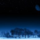 녹턴(NOCTURNE) 이미지