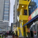 엑스포대로,오동도로 이미지