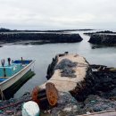 용당포구 이미지