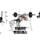 룰루 휘트니스 이미지