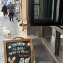 코코너즘