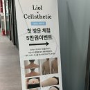 지에스25 월성휴포레점 | 겨드랑이색소침착 멜라닌케어 바디케어맛집 구디에스테틱 [셀스테틱 구로디지털단지점]